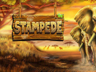 Stampede Slot Featured Image